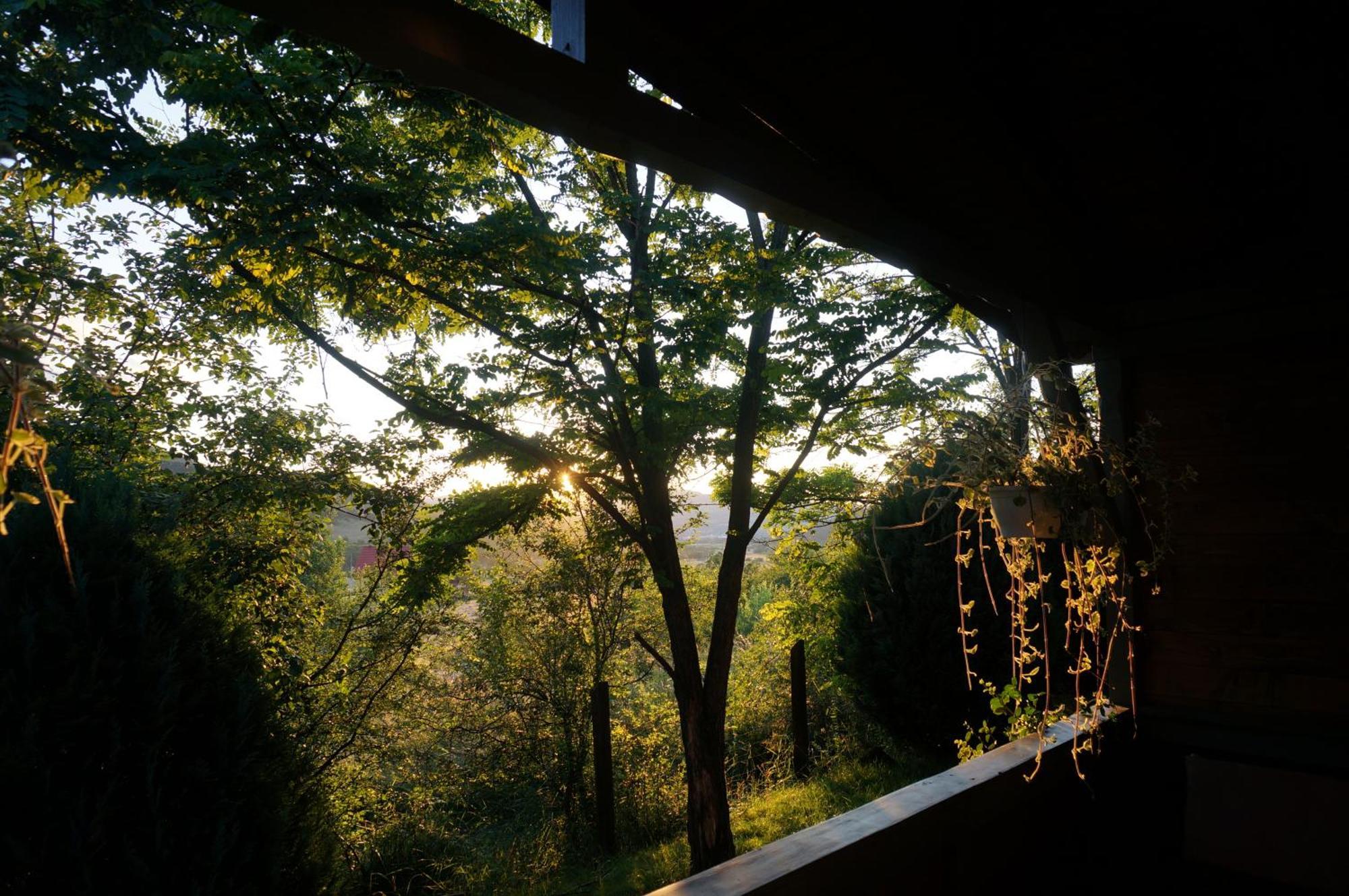 Natura Chalets Praid Extérieur photo