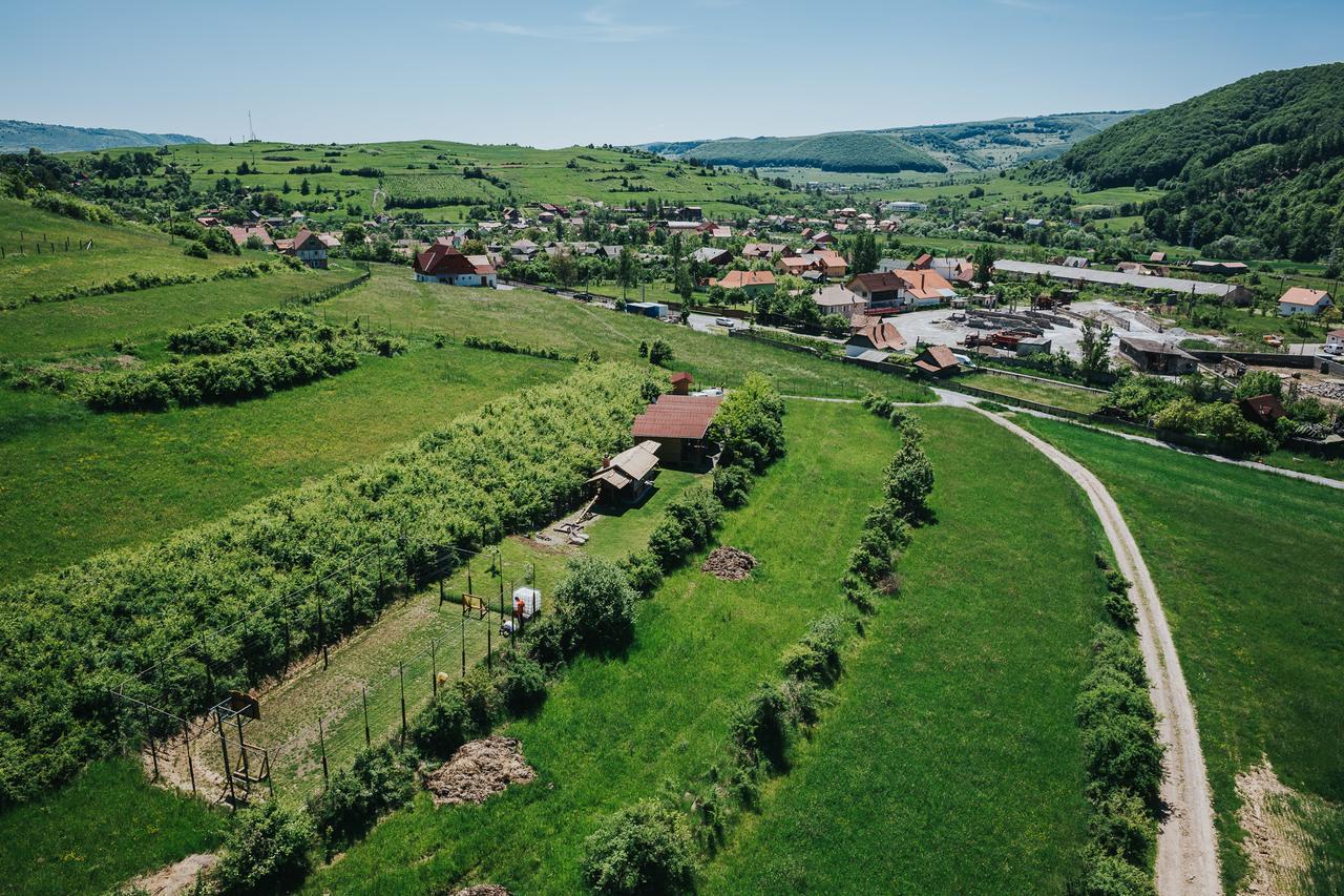 Natura Chalets Praid Extérieur photo